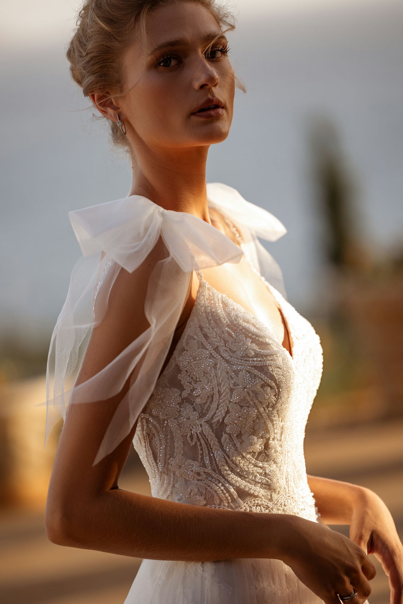 Das Brautkleid DR394 vom Hersteller Demetrios - Destination Romance, bei Ivory & Blush